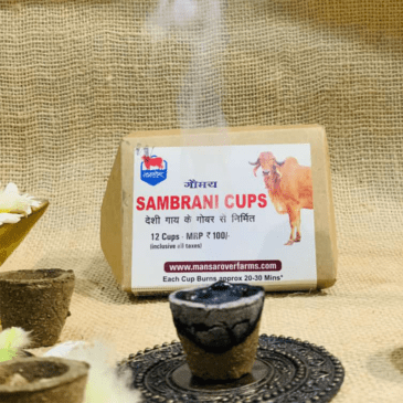 Hawan Cups